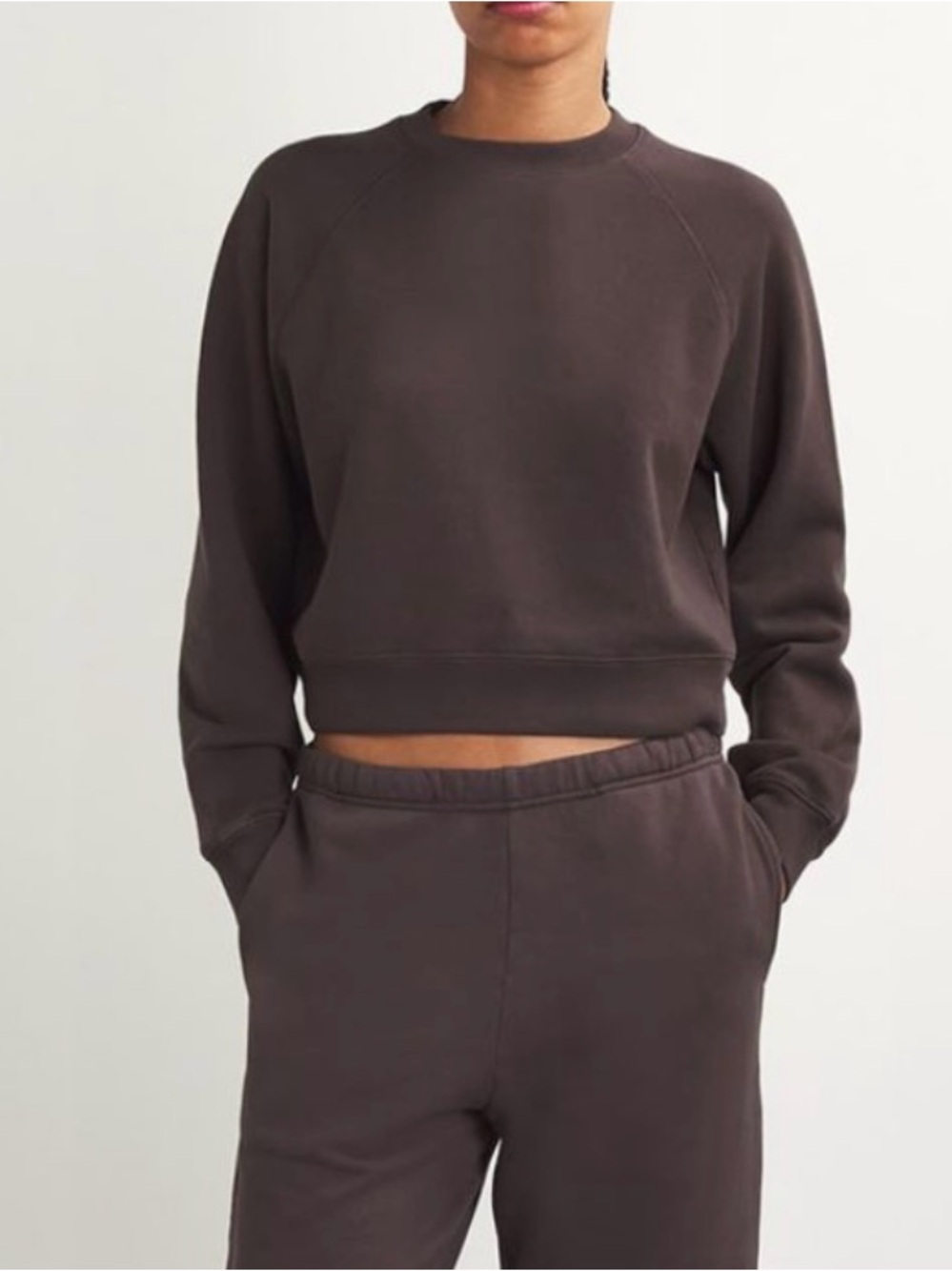 SKIMS Cropped Crewneck Sweatshirt in IRON